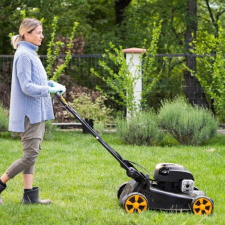 Easy to use Push Lawn Mower for your garden