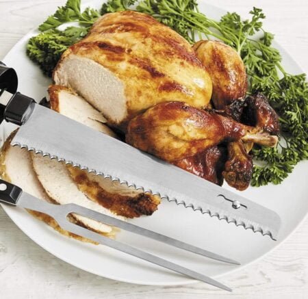 Aditional features of the electric carving knife