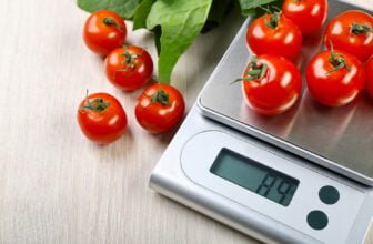 How to Choose the Best Kitchen Scale