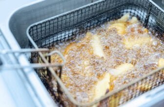 How Do You Choose the Best Deep Fryer