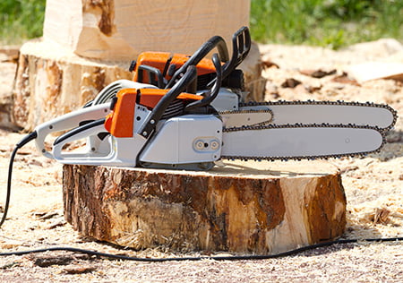 Professional electric chainsaws at work
