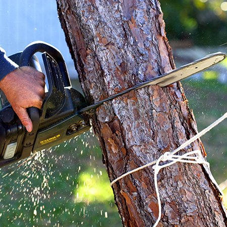 The Best Electric Chainsaw