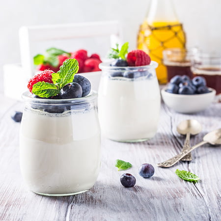 How to Choose the Best Yoghurt Maker