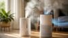 Can a Humidifier Be Used with an Air Purifier Without Losing Effectiveness?